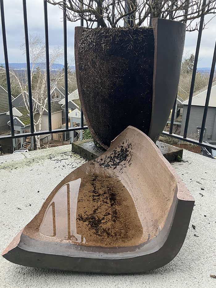 I’ve Had This Planter For Over 10 Years And The Last Ice Storm Made It Split