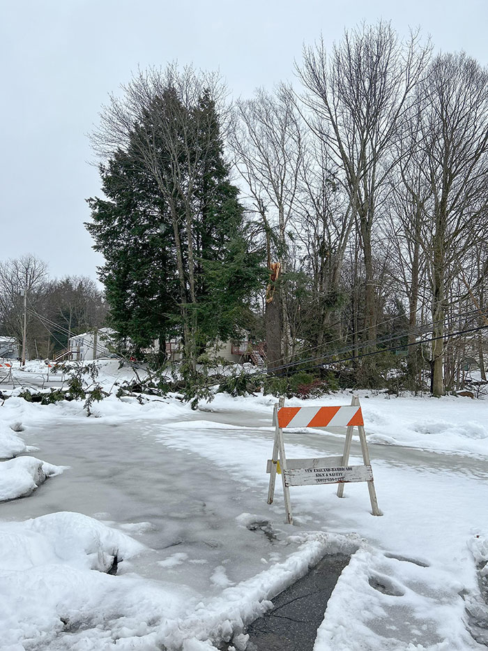 After The Massive Nor’easter In Maine This Week, A Tree Behind My House Took Out This Power Line And We’ve Been Without Power In Freezing Temps Since Early Morning On April 4th