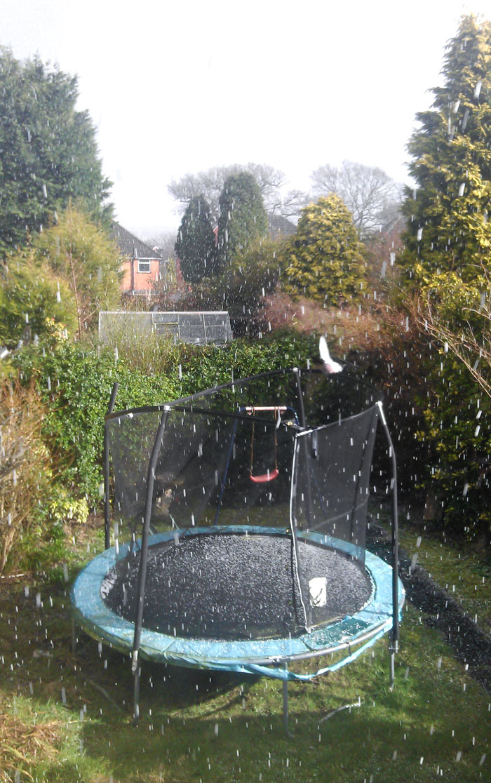 Trampoline in a backyard during heavy rain with trees and houses in the background showing nature's unpredictable weather.