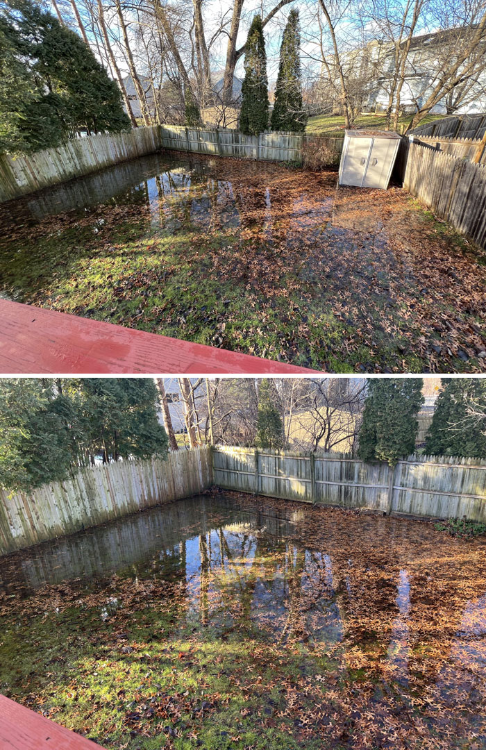 Bought My First House A Few Months Ago, And Woke Up To This