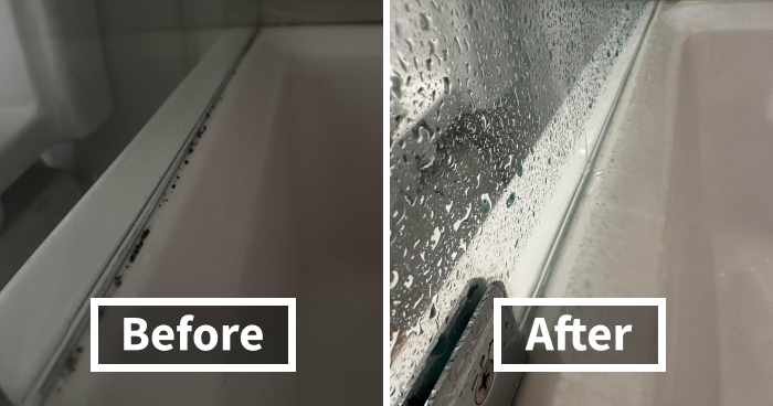 Adulting Level: Expert , Thanks to These 35 Life-Saving Hacks