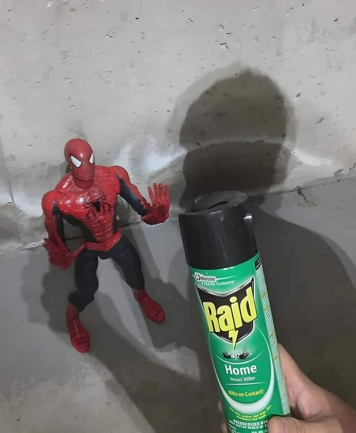 50 Images From The Quirky And Comedic Side Of The Internet