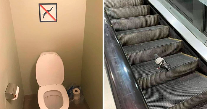 50 Images From The Quirky And Comedic Side Of The Internet