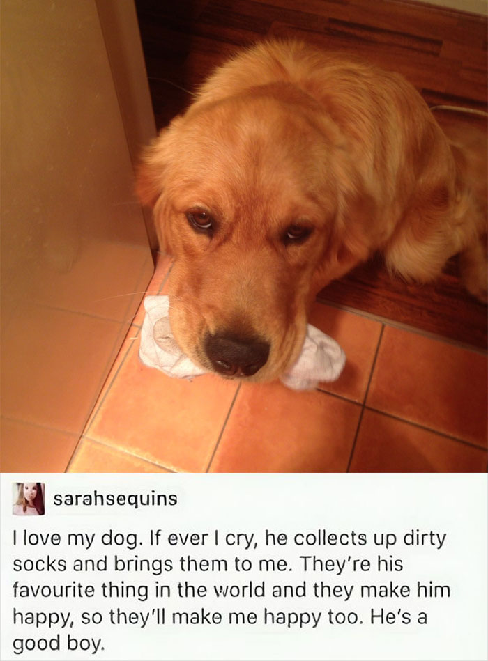 Wholesome-Posts-Memes