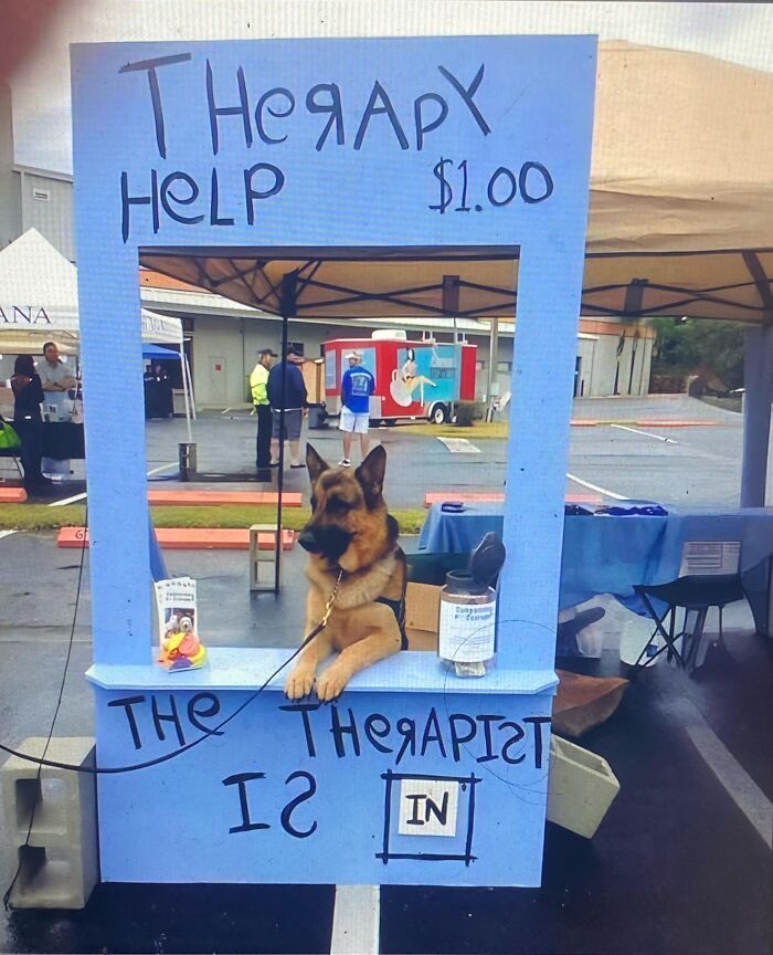 Wholesome-Stories-We-Love-Animals