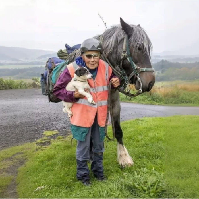 Wholesome-Stories-We-Love-Animals