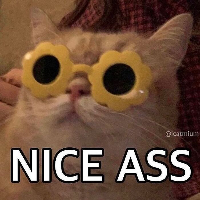 Wholesome-Relationship-Memes