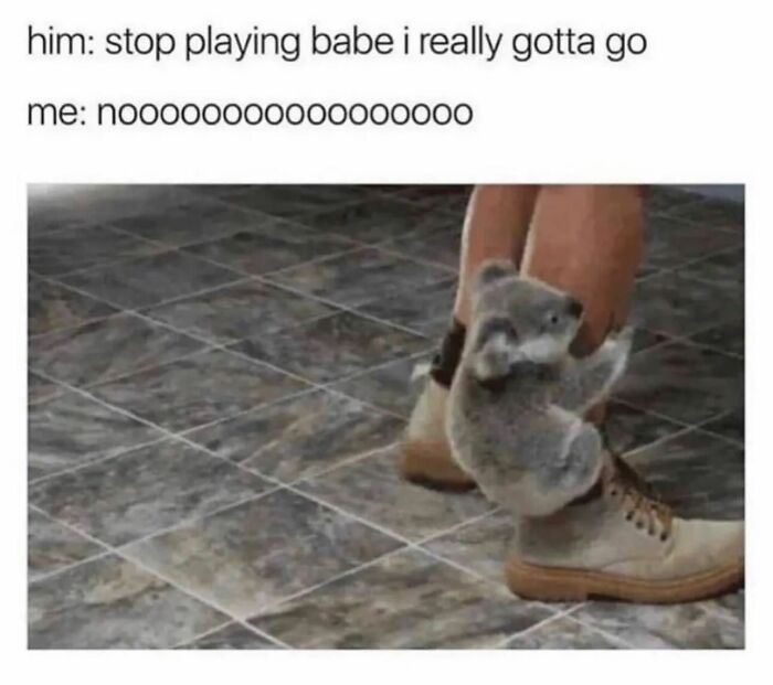 Wholesome-Relationship-Memes