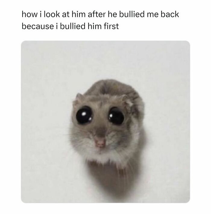 Wholesome-Relationship-Memes