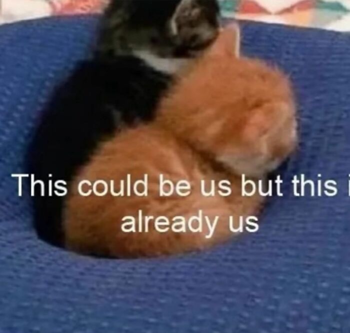 Wholesome-Relationship-Memes