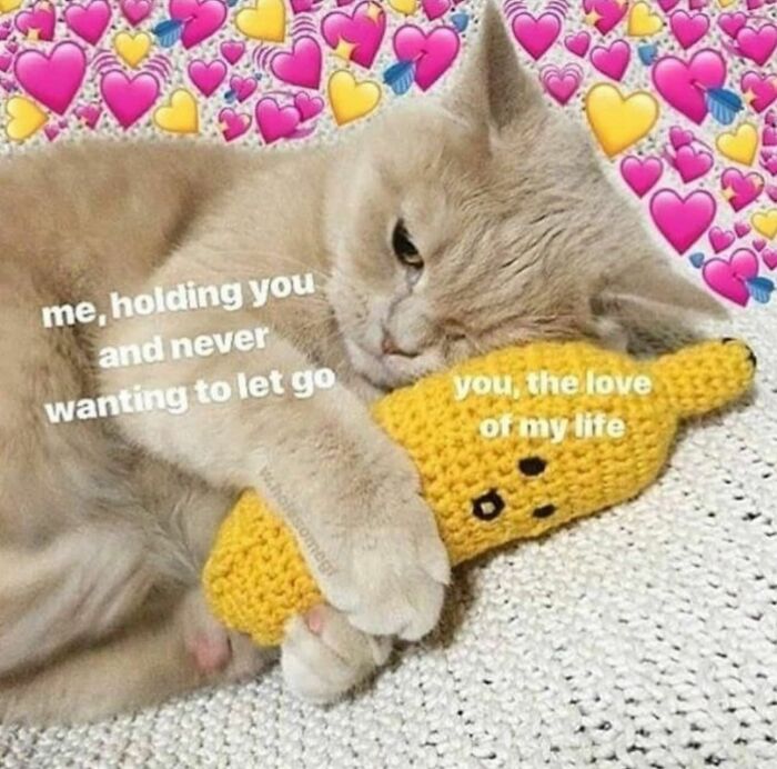 Wholesome-Relationship-Memes