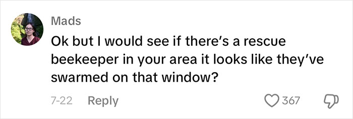 Landlord Ignores Woman&rsquo;s Pleas For Help After Releasing 1000s Of Bees In House, She Has To Move Out