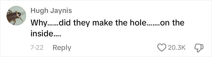 Landlord Ignores Woman&rsquo;s Pleas For Help After Releasing 1000s Of Bees In House, She Has To Move Out