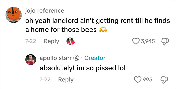 Landlord Ignores Woman&rsquo;s Pleas For Help After Releasing 1000s Of Bees In House, She Has To Move Out