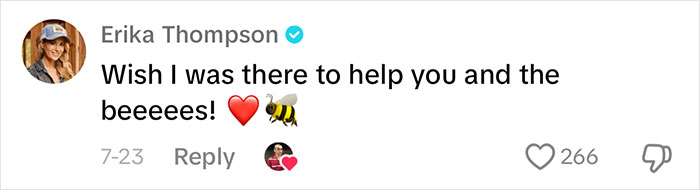 Landlord Ignores Woman&rsquo;s Pleas For Help After Releasing 1000s Of Bees In House, She Has To Move Out