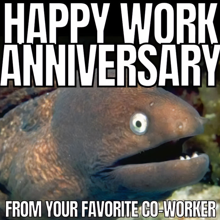 Moray eel with surprised expression, text reads "Happy Work Anniversary, From Your Favorite Co-Worker." Humorous work anniversary meme.