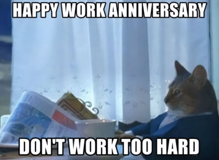 Cat in a suit reading newspaper meme, celebrating work anniversary with "Happy Work Anniversary, Don't Work Too Hard" text.