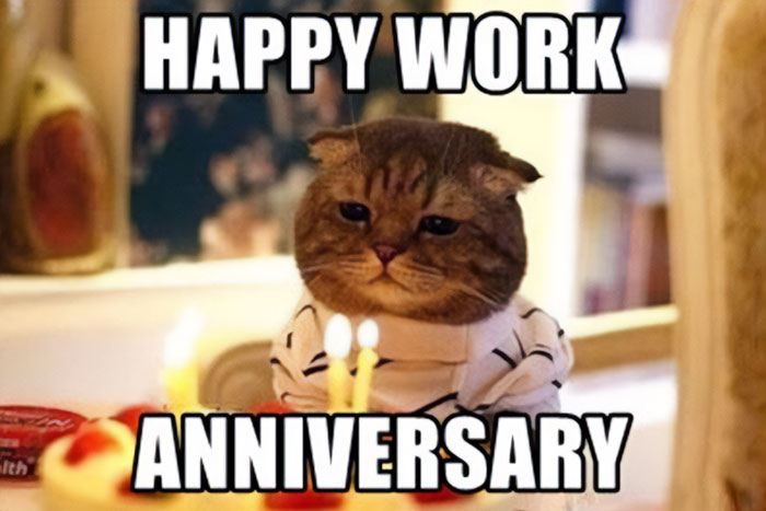 Grumpy cat in striped shirt with cake, captioned "Happy Work Anniversary," humorously shows lack of enthusiasm.