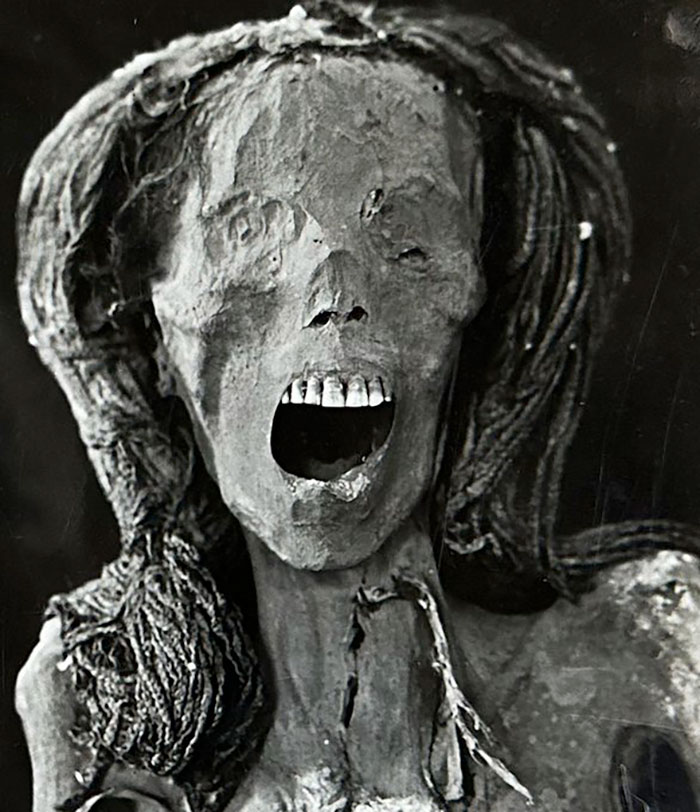 &ldquo;So Horrible&rdquo;: Virtual Autopsy Reveals Ancient Egyptian Mummy&rsquo;s Heart-Wrenching Secret