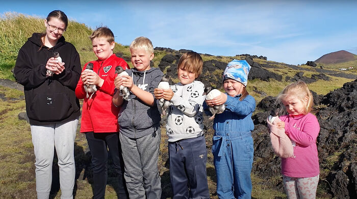 People In Iceland Are Collecting Baby Puffins In The Streets And Throwing Them Back Into The Ocean People In Iceland Are Collecting Baby Puffins In The Streets And Throwing Them Back Into The Ocean