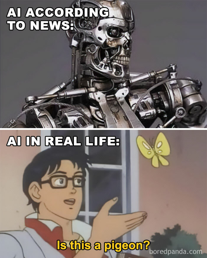 Engineers laughing at AI meme: top shows robot, bottom shows man asking if butterfly is a pigeon.