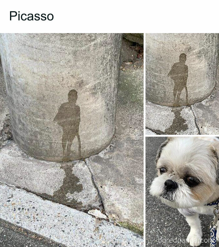 Funny-Random-Memes-Thehilarious-Ted