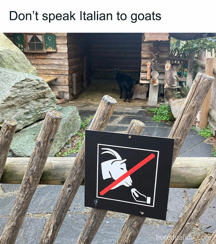 Funny-Random-Memes-Thehilarious-Ted