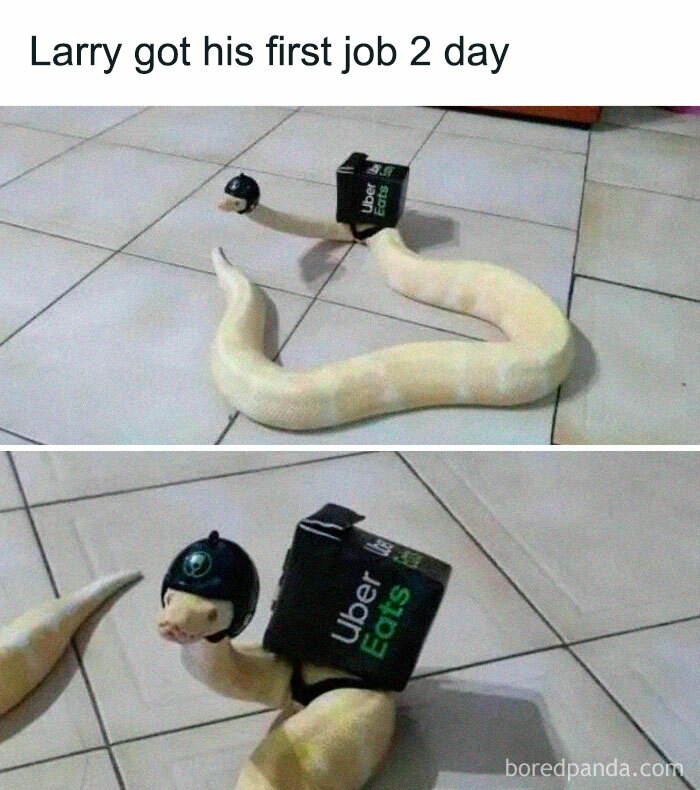 Funny-Random-Memes-Thehilarious-Ted