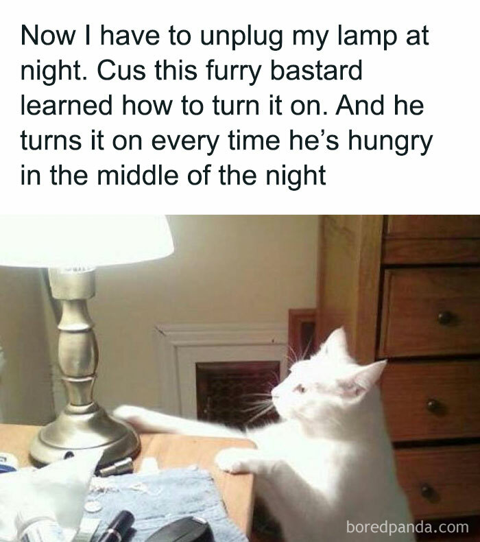 Funny-Random-Memes-Thehilarious-Ted