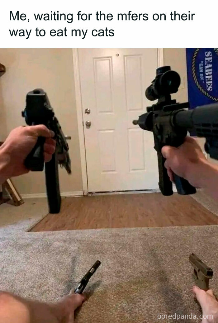 Funny-Very-Nice-Meme-Thanks-Pic