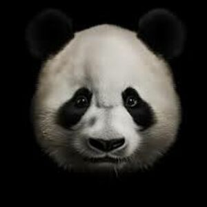 barryfruitman avatar