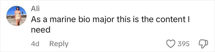 Aquarium With Real Fish Created Around Fire Hydrant "Puddle" Draws Criticism For Its Cruelty Aquarium With Real Fish Created Around Fire Hydrant "Puddle" Draws Criticism For Its Cruelty