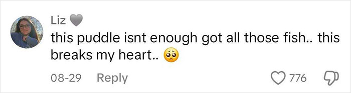 Aquarium With Real Fish Created Around Fire Hydrant "Puddle" Draws Criticism For Its Cruelty Aquarium With Real Fish Created Around Fire Hydrant "Puddle" Draws Criticism For Its Cruelty