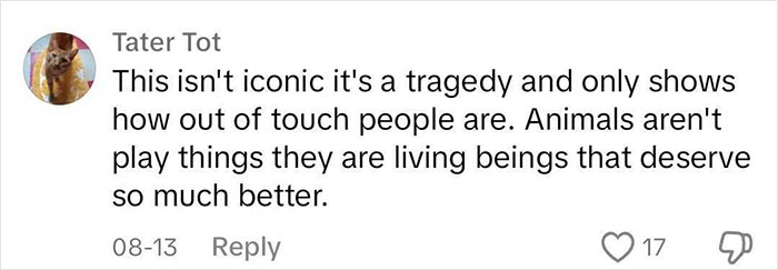 Aquarium With Real Fish Created Around Fire Hydrant "Puddle" Draws Criticism For Its Cruelty Aquarium With Real Fish Created Around Fire Hydrant "Puddle" Draws Criticism For Its Cruelty