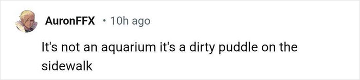 Aquarium With Real Fish Created Around Fire Hydrant "Puddle" Draws Criticism For Its Cruelty Aquarium With Real Fish Created Around Fire Hydrant "Puddle" Draws Criticism For Its Cruelty