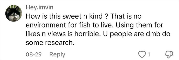 Aquarium With Real Fish Created Around Fire Hydrant "Puddle" Draws Criticism For Its Cruelty Aquarium With Real Fish Created Around Fire Hydrant "Puddle" Draws Criticism For Its Cruelty