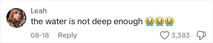 Aquarium With Real Fish Created Around Fire Hydrant "Puddle" Draws Criticism For Its Cruelty Aquarium With Real Fish Created Around Fire Hydrant "Puddle" Draws Criticism For Its Cruelty