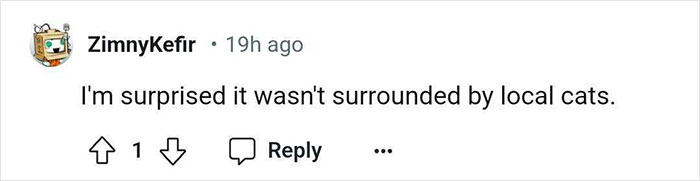 Aquarium With Real Fish Created Around Fire Hydrant "Puddle" Draws Criticism For Its Cruelty Aquarium With Real Fish Created Around Fire Hydrant "Puddle" Draws Criticism For Its Cruelty