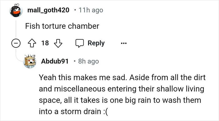 Aquarium With Real Fish Created Around Fire Hydrant "Puddle" Draws Criticism For Its Cruelty Aquarium With Real Fish Created Around Fire Hydrant "Puddle" Draws Criticism For Its Cruelty