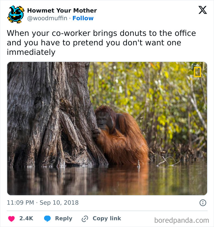 Funny-Employee-Tweets