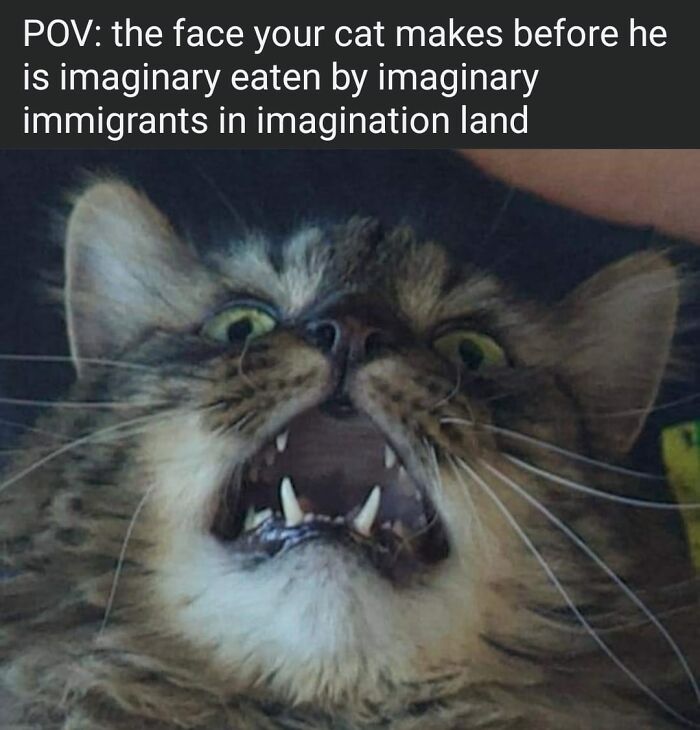 Funny-Very-Nice-Meme-Thanks-Pic