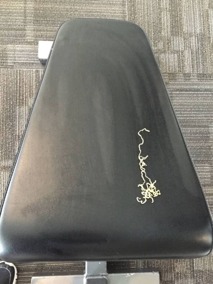 Someone Dropped (And Left) Noodles On This Piece Of Gym Equipment!