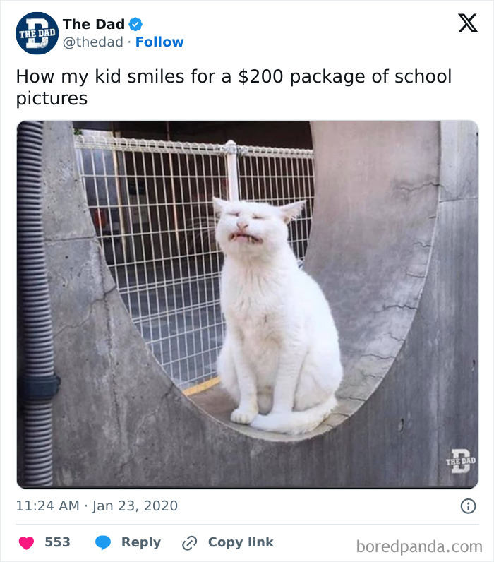 Tweets-About-School-Picture-Day