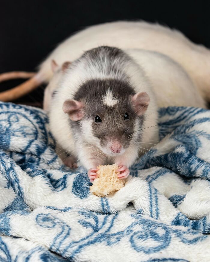 50 Times People Tasted Something Unusual Whether On Purpose Or By Accident