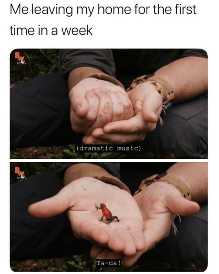 Funny-Very-Nice-Meme-Thanks-Pic