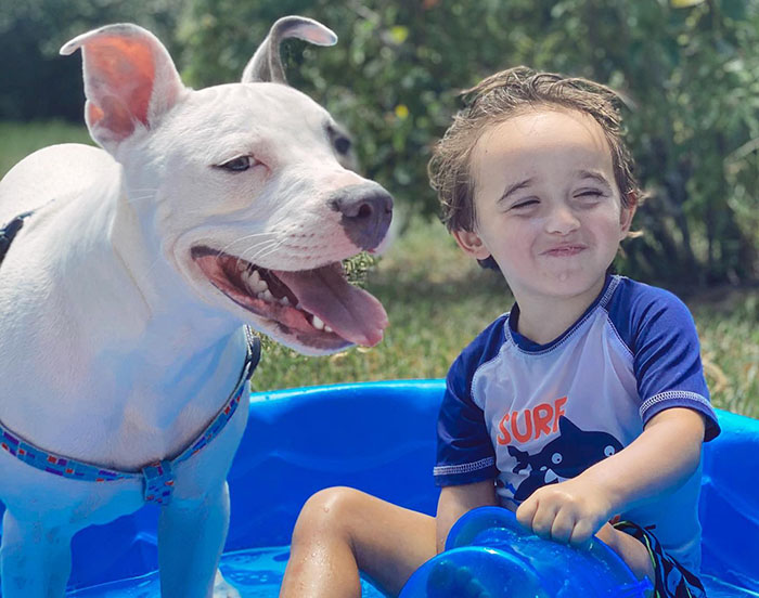 Puppy Is Frozen By Rare Disease, Recovers And Takes First Steps Despite Nobody Believing Puppy Is Frozen By Rare Disease, Recovers And Takes First Steps Despite Nobody Believing