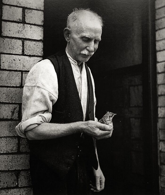Black and white vintage photo of an elderly man gently holding a small bird, showcasing historical and vintage photos.