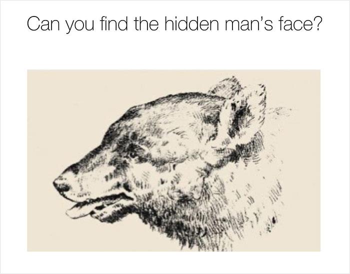 Optical-Illusion-Pictures-Quiz