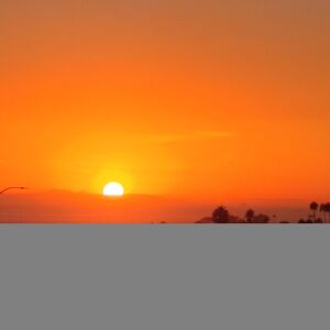 sandiaharrison avatar