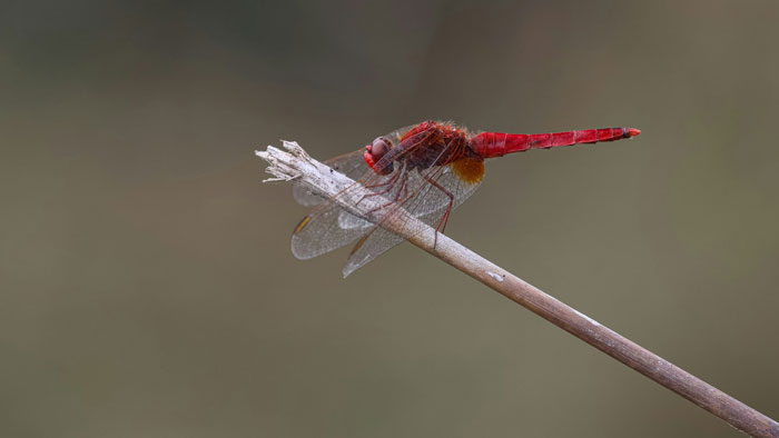 30 Fun Ice Breaker Facts People Use For A Lasting Impression